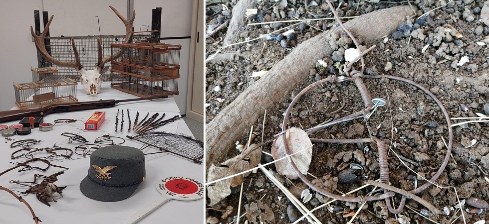 Per attirare gli uccelli cospargeva le tagliole con semi di girasole”